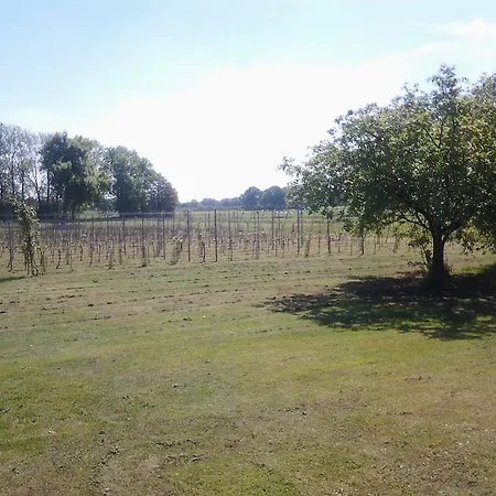 Erve Bergzicht Holiday home *